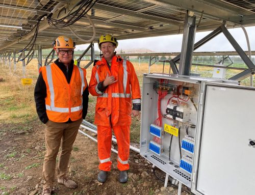 New Zealand’s Largest Solar Farm is on-line near Blenheim
